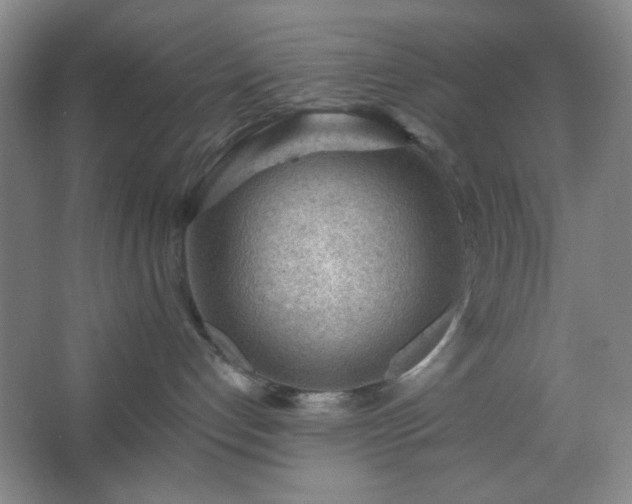 X0000062610192200512281513