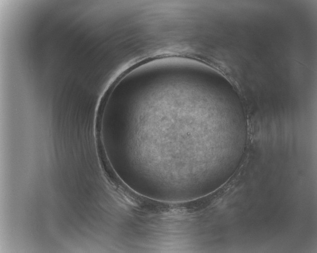 X0000062610196200512281512