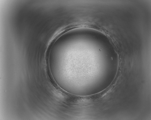 X0000062610198200512281512