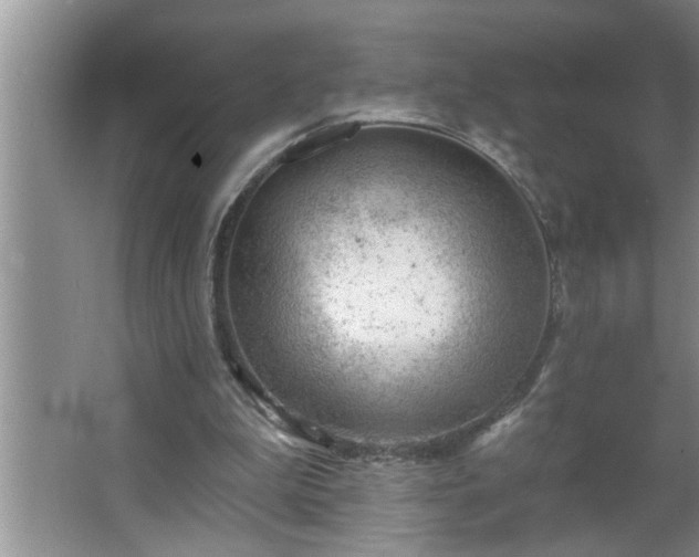 X0000062610199200512281512