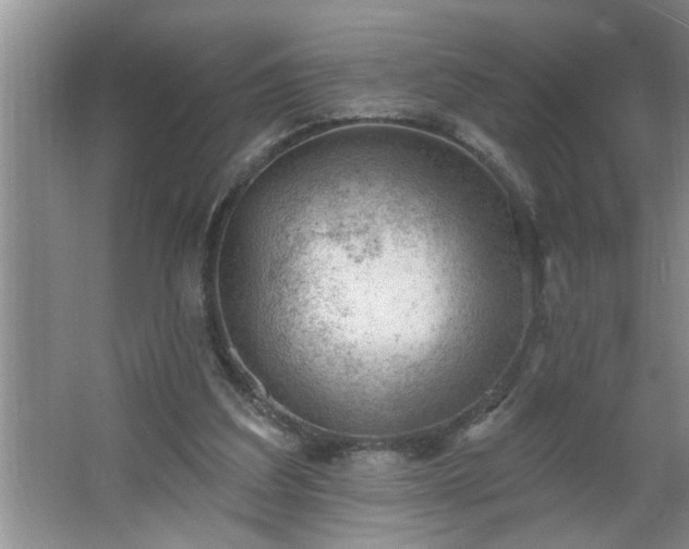 X0000062610203200512281512