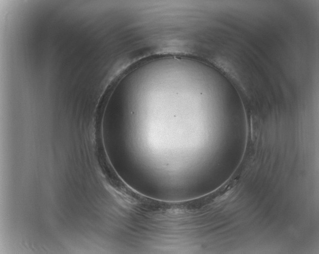 X0000062610204200512281512