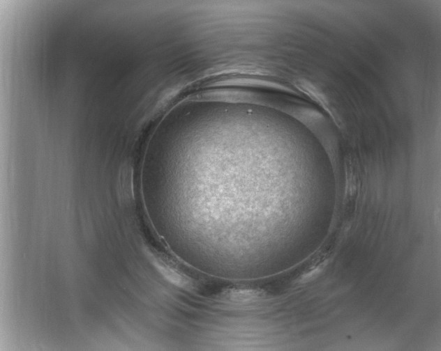 X0000062610205200512281512