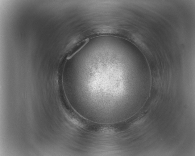 X0000062610207200512281512