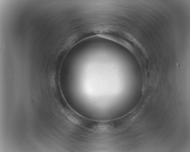 X0000062610209200512281512