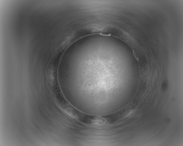 X0000062610215200512281512