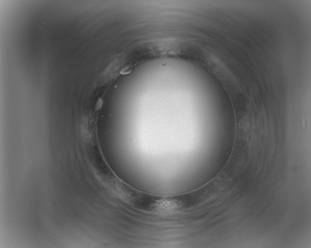 X0000062610218200512281512