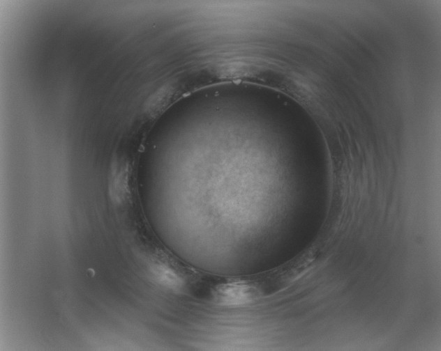 X0000062610219200512281512