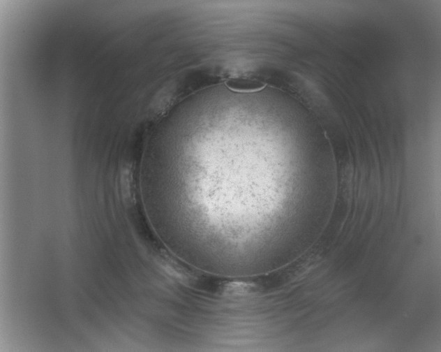 X0000062610222200512281512