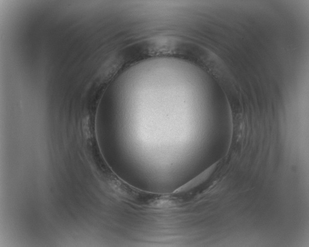 X0000062610224200512281512