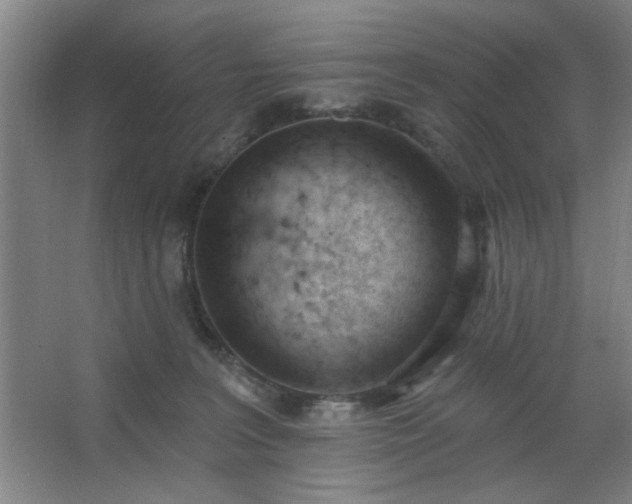 X0000062610227200512281512