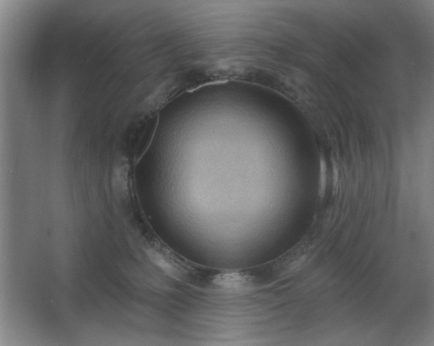 X0000062610231200512281512