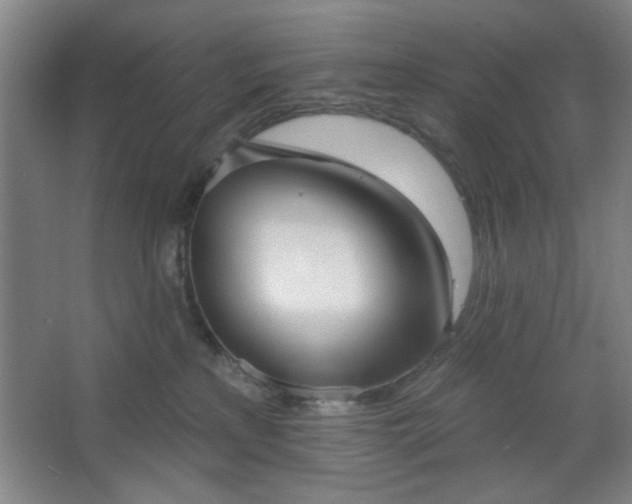 X0000062610233200512281511