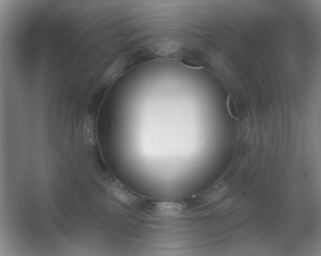 X0000062610234200512281511