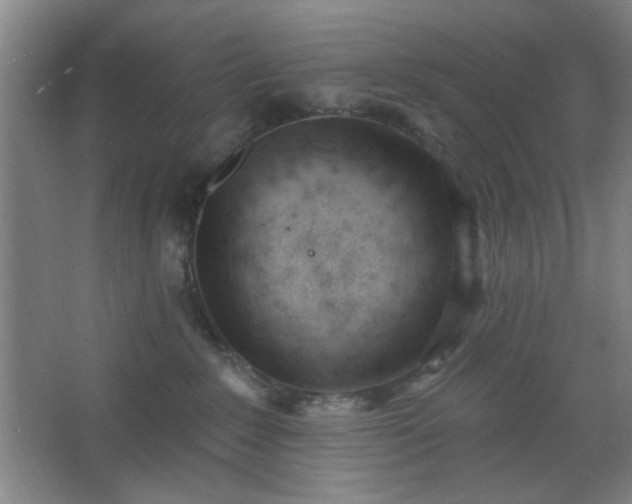 X0000062610235200512281511