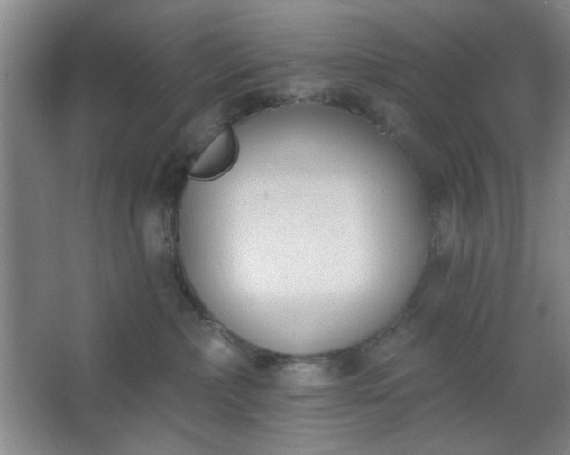 X0000062610236200512281511