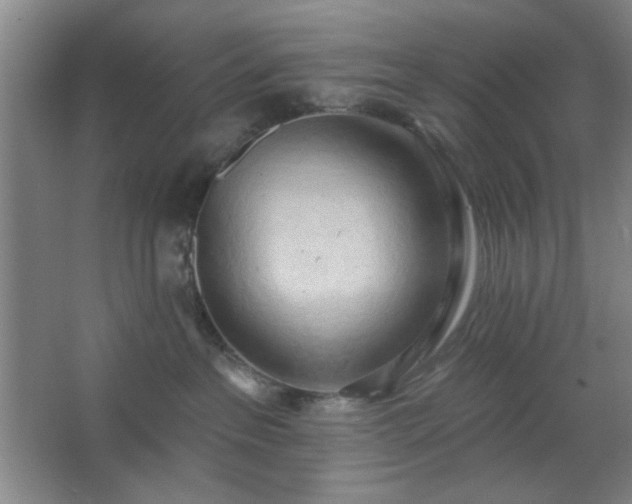 X0000062610237200512281511