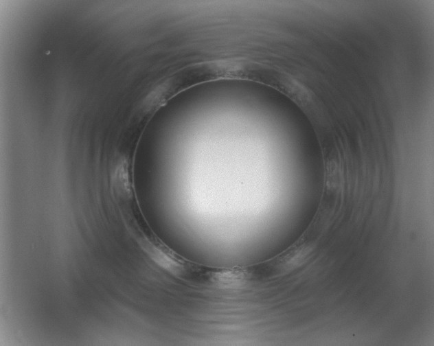 X0000062610238200512281511