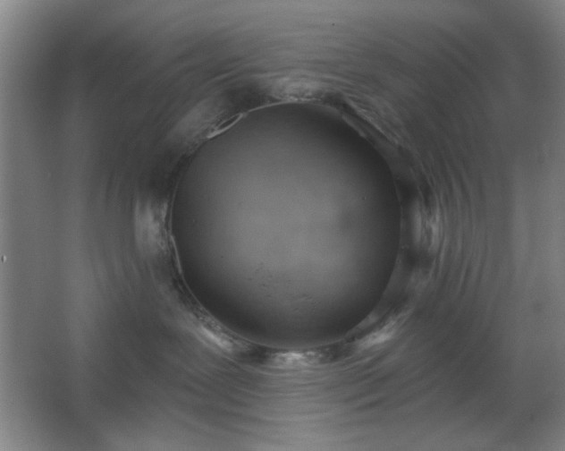 X0000062610239200512281511