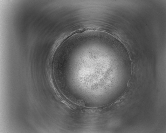 X0000062610241200512281511