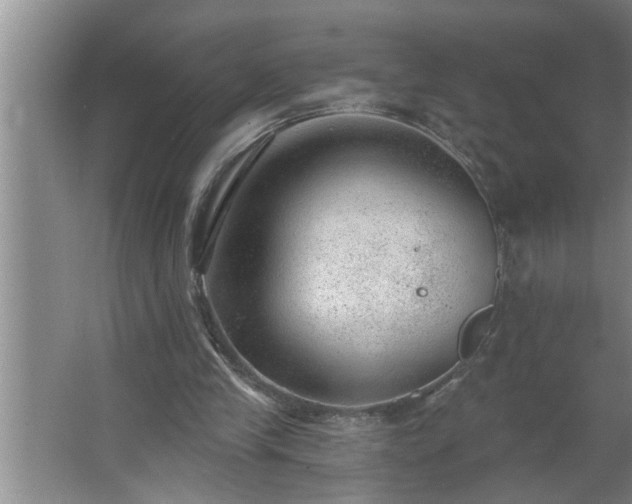 X0000062610245200512281511