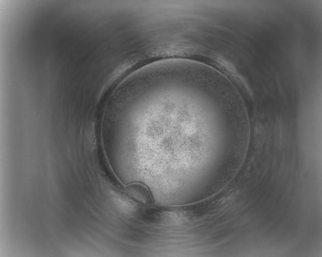 X0000062610250200512281511