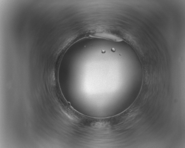 X0000062610251200512281511