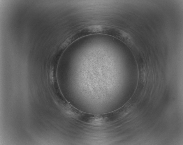 X0000062610267200512281511