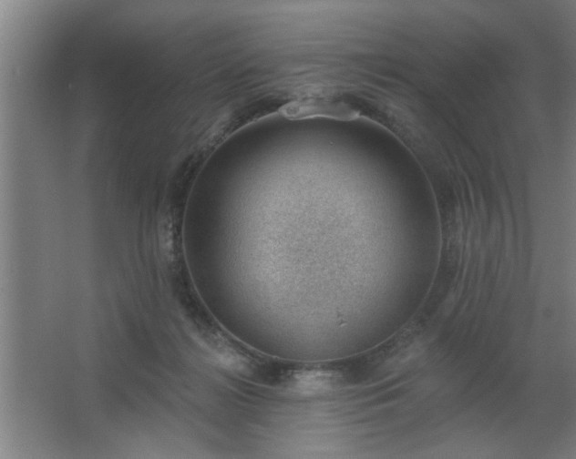 X0000062610268200512281511