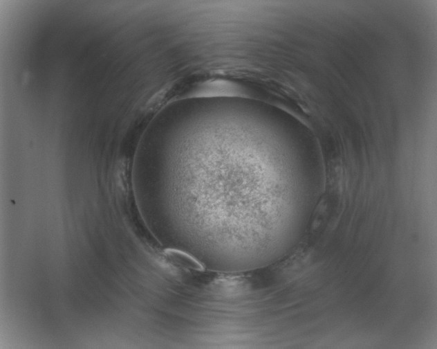 X0000062610280200512281511