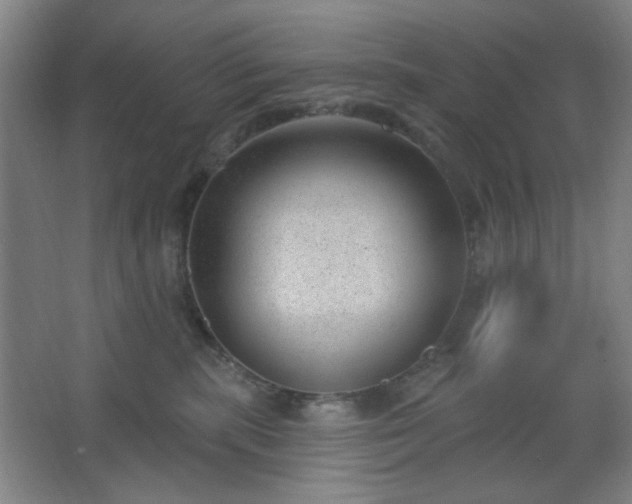 X0000062610283200512281511