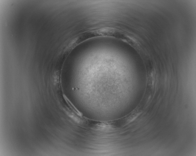 X0000062610284200512281511