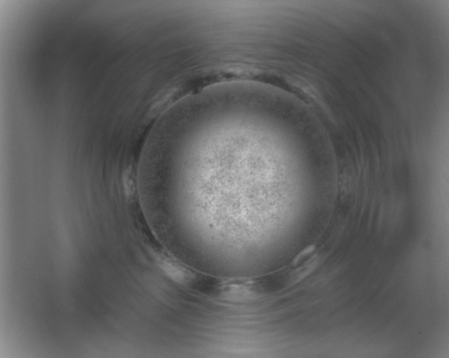 X0000062610285200512281511