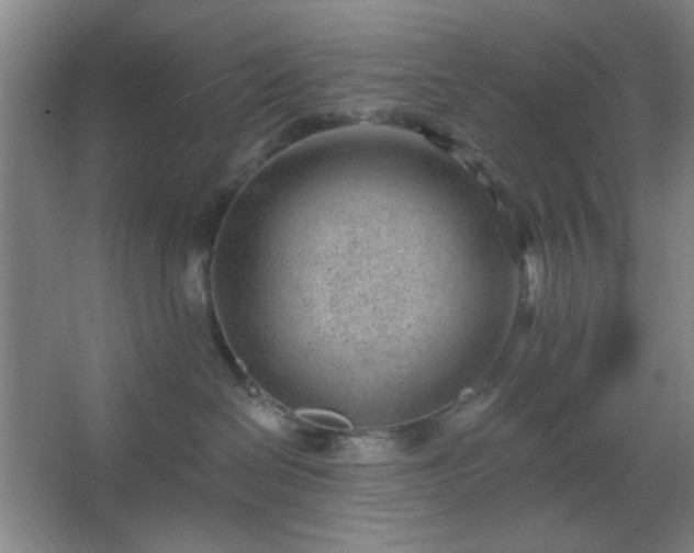 X0000062610286200512281511