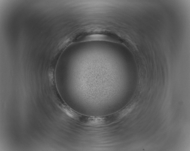 X0000062610288200512281511