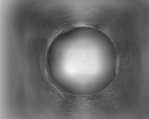 X0000062610289200512281511