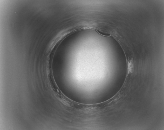 X0000062610291200512281511