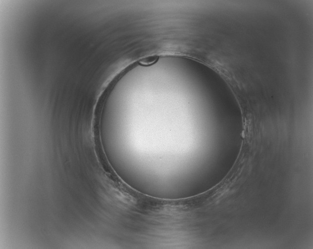 X0000062610292200512281510