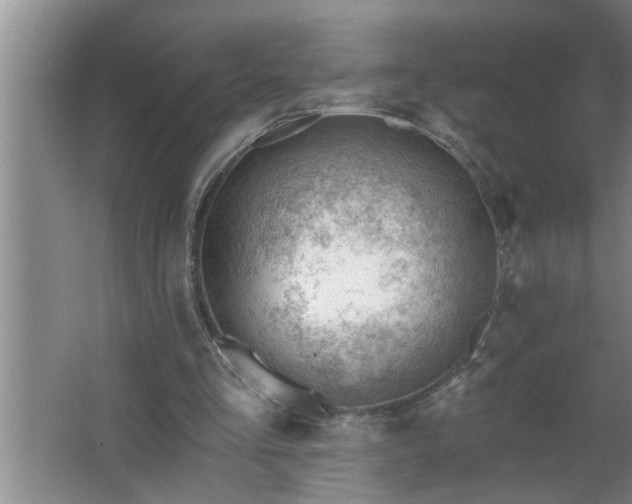 X0000062610293200512281510