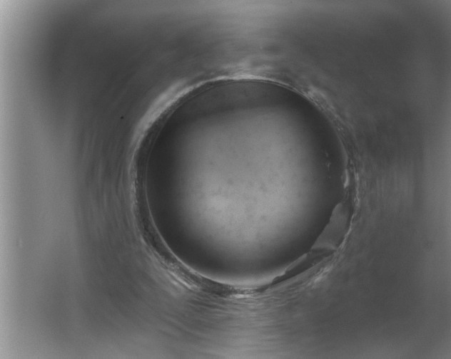 X0000062610295200512281510