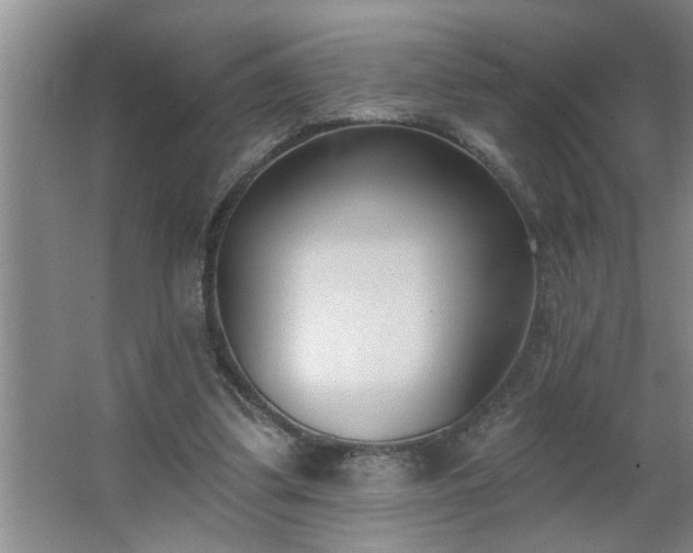 X0000062610299200512281510