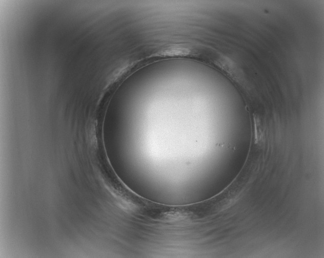 X0000062610300200512281510