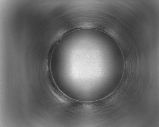 X0000062610302200512281510