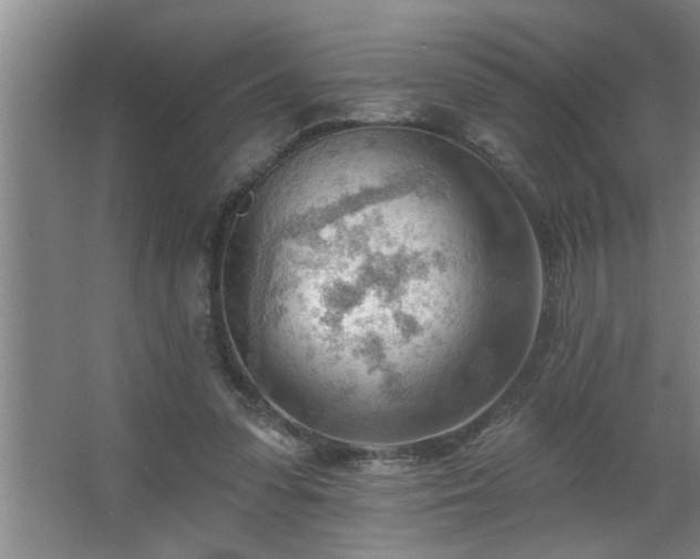 X0000062610303200512281510