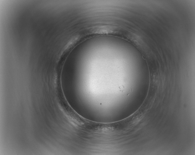 X0000062610304200512281510