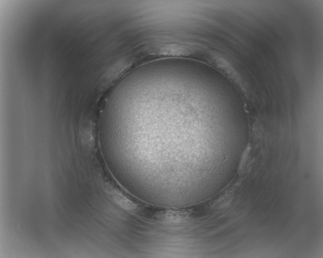 X0000062610305200512281510