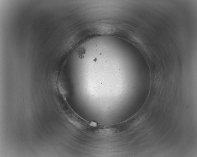 X0000062610307200512281510