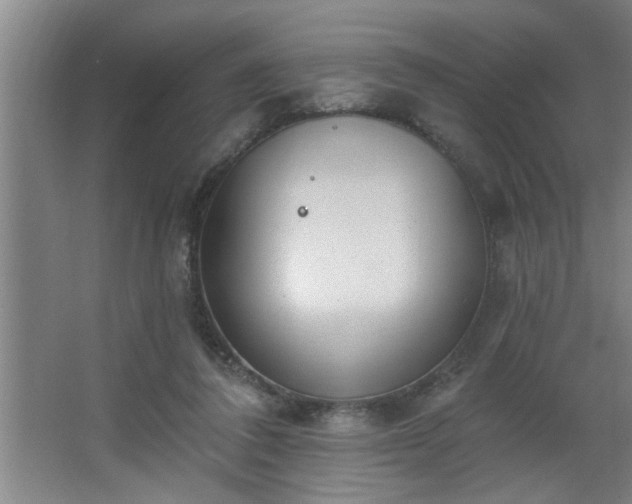 X0000062610308200512281510