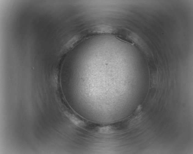 X0000062610309200512281510