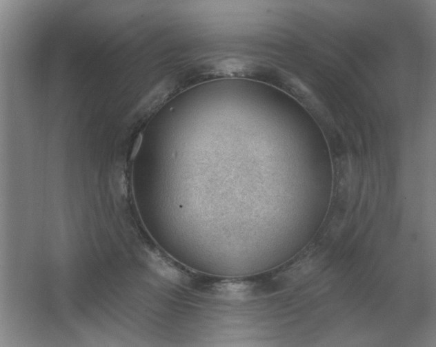 X0000062610313200512281510